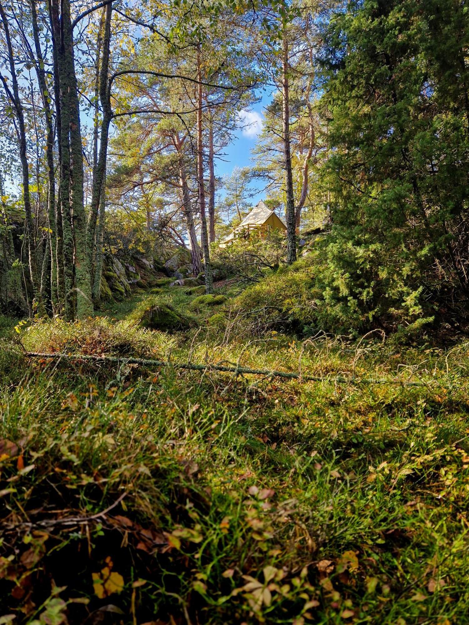 Braennskaer Cottages & Glamping Pargas Zewnętrze zdjęcie