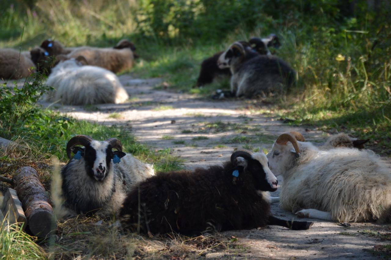 Braennskaer Cottages & Glamping Pargas Zewnętrze zdjęcie